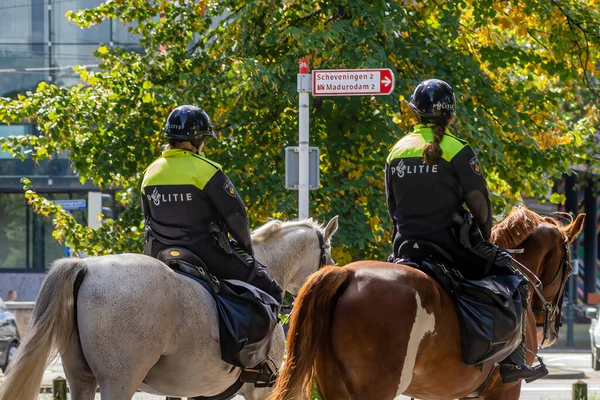 September 2020 Gravenhage Nederland Vreedzaam Protest Georganiseerd Door Pedofilie Activisten — Stockfoto