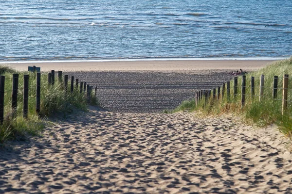 Holzpfähle Stacheldraht Und Sandiger Weg Durch Die Dünen Niederlande — Stockfoto