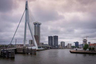 29 Haziran 2021 Rotterdam; Hollanda; Rotterdam güney kıyısı; Erasmus Köprüsü ve Rotterdam ofisleriyle ufuk çizgisi