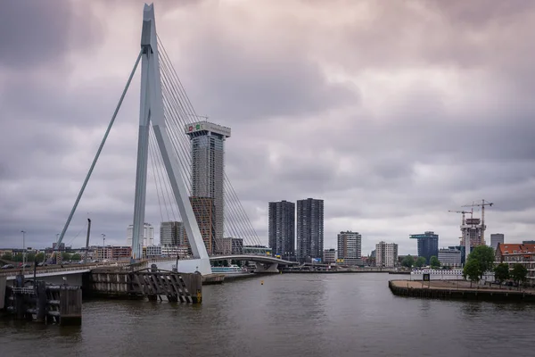 2021年6月29日鹿特丹 鹿特丹南岸 与Erasmus桥和鹿特丹办事处的天际线 — 图库照片