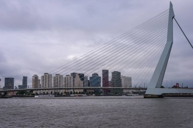 29 Haziran 2021 Rotterdam; Hollanda; Rotterdam güney kıyısı; Erasmus Köprüsü ve Rotterdam ofisleriyle ufuk çizgisi