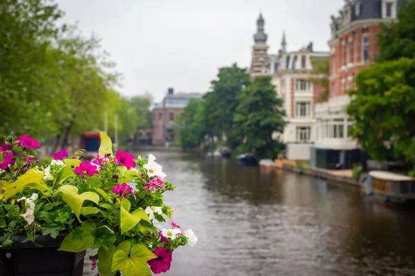Июня 2021 Года Амстердам Нидерланды Надпись Музейном Мосту Исторический Центр — стоковое фото