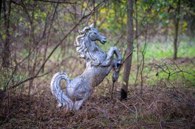 Fotoğrafta arka ayakları üzerinde duran yıpranmış gümüş bir at heykeli görülüyor. Kuru çimenler ve dallar arasında, ince ağaç dalları ve yeşilliklerle çevrili, sessiz, aşırı gelişmiş bir açık alanda..