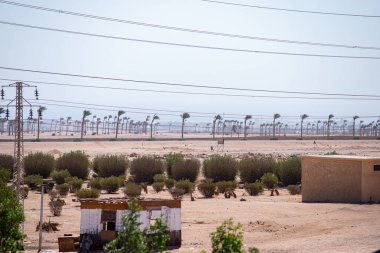 Elektrik hatları düz bir çöl ovasını geçiyor. Orada sıra sıra çalılar ve rüzgarla eğilmiş palmiyeler ufka doğru uzanıyor. Küçük kamu hizmetleri binaları kumlu zemine dağılmış durumda.