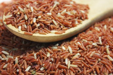 Kırmızı Yasemin ric