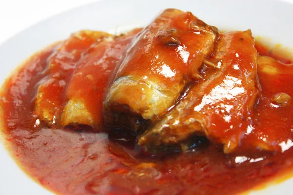 Сардинская рыба в томатном соусе — стоковое фото