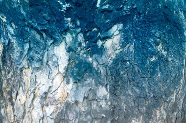 Kabuk ahşap doku arka plan deseni