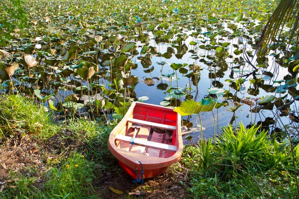 Red Boat in the river with blossom lotus garden — Stock Photo, Image
