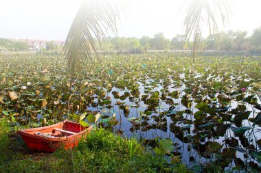 Çiçek lotus bahçeli nehre kırmızı tekne
