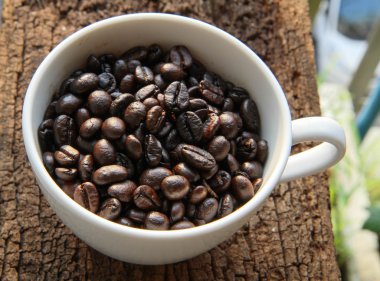 Beyaz arkaplanda kahve çekirdeği