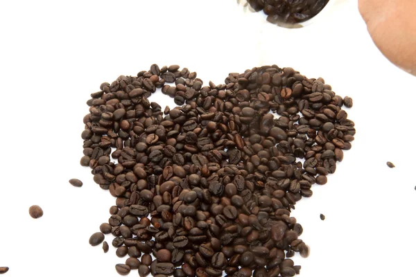Coffee bean on white background — Stock Photo, Image
