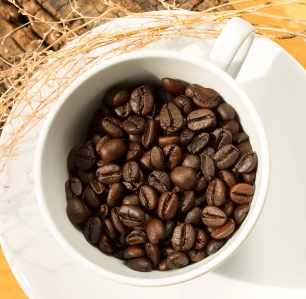 Grano de café sobre fondo blanco —  Fotos de Stock