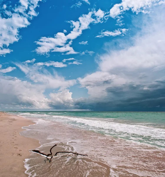 La côte de la mer — Photo