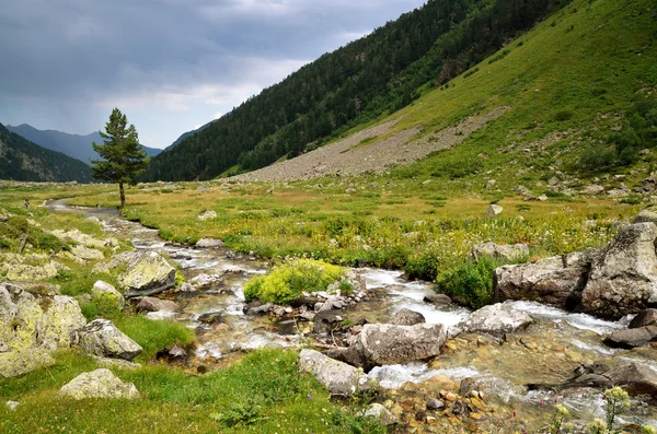 mounyain Nehri