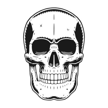 Kafatası grafiği. Vintage oymacılık tarzında geçmişe dönük illüstrasyon.