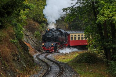 Harz Dağları 'ndaki tarihi tren. Sonbaharda yağmurlu havada dağlarda dar bir demiryolu. Ağaçlı bir vadide, vagon sürücüleri olan buharlı lokomotif.