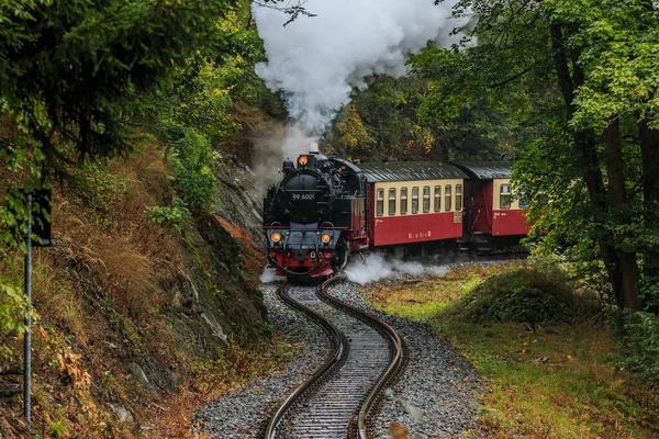 Ånglok Med Vagn Dal Harzbergen Smalspårig Järnväg Fjällen Regnigt Höstväder — Stockfoto