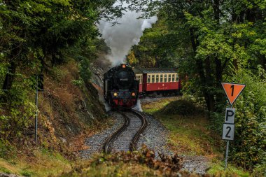 Harz Dağları 'ndaki bir vadide dar ölçülü demiryolu. Yağmurlu sonbahar havasında arabalı buharlı lokomotif dağlarda. Demiryolu boyunca ağaçlar ve kaya yüzeyi