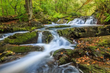 Harz 'da şelale gibi. Yosun kaplı kaya ve taşlarla dolu nehir yatağı. Nehir kenarındaki yaprak döken ağaçlar. Mevsimlik yapraklar suyun yüzeyinde ve taşların üzerinde