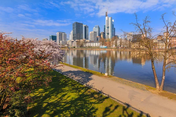 Commercial buildings with skyscraper of Frankfurt at Main. River with park and green meadow in the foreground on a sunny day. Bank of the river with reflections in spring with blue sky