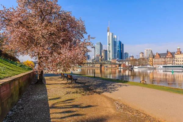 Río Meno Frankfurt Con Parques Orillas Del Río Horizonte Ciudad —  Fotos de Stock