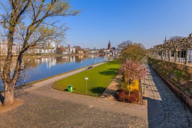 Frankfurt 'ta ana caddenin kıyısında park et. Baharda ağaçlarla, baharda çimlerle ve mavi gökyüzüyle kaplı bir yol. Arka planda eski kasabanın merkezinden binalar