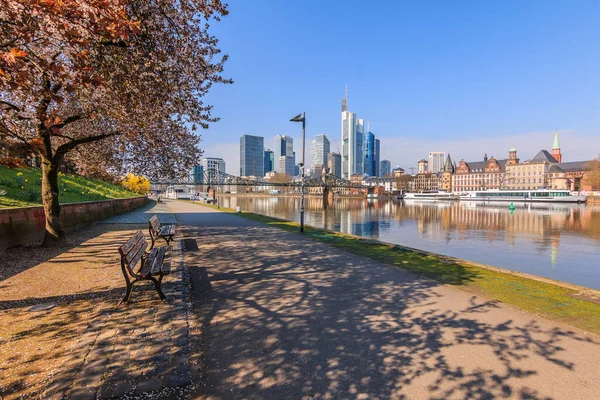 Uferweg Main Frankfurt Baum Mit Blumen Und Bänken Frühling Wolkenkratzer — Stockfoto