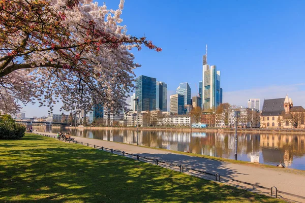 Frankfurt Felhőkarcolók Üzleti Pénzügyi Negyedben Gondolatok Vízről Majna Folyóról Virágokkal — Stock Fotó