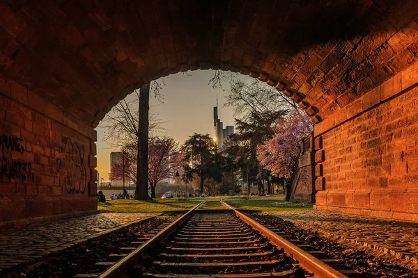 Wieczorny Nastrój Zachodem Słońca Frankfurcie Stary Tunel Torów Kolejowych Park — Zdjęcie stockowe