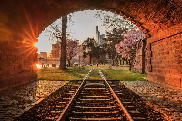 Tunnel Mattoni Con Pista Storica Nel Parco Sul Fiume Meno — Foto Stock