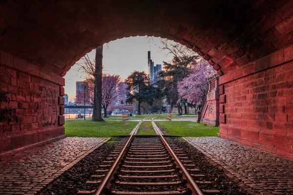 Evening mood in Frankfurt. Historic tunnel with old railroad track. Trees with flowers in the park and meadow. Skyscrapers from the financial district in the background
