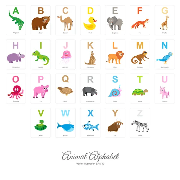 Alphabet animal plat — Image vectorielle