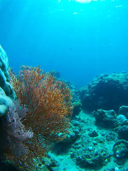Vista submarina foto — Foto de Stock
