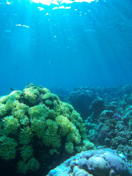 Фото с подводного вида — стоковое фото