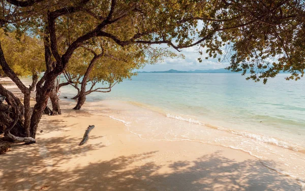 Landskap Den Tropiska Stranden Koh Phangan Haad Rin Området Till — Stockfoto