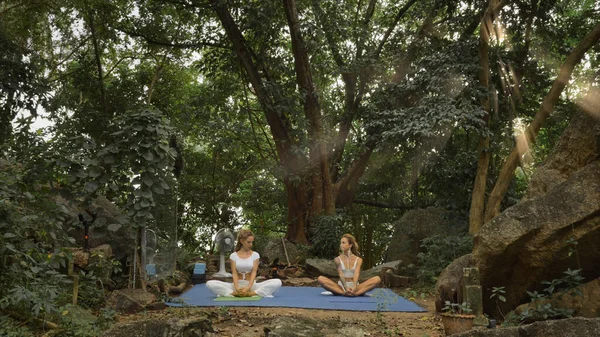 Two Beautiful Woman Yoga Exercises Nature Garden Outdoor Training Stock Picture