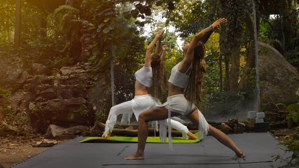 Zwei Schöne Frauen Machen Yoga Übungen Naturgarten Outdoor Training lizenzfreie Stockfotos