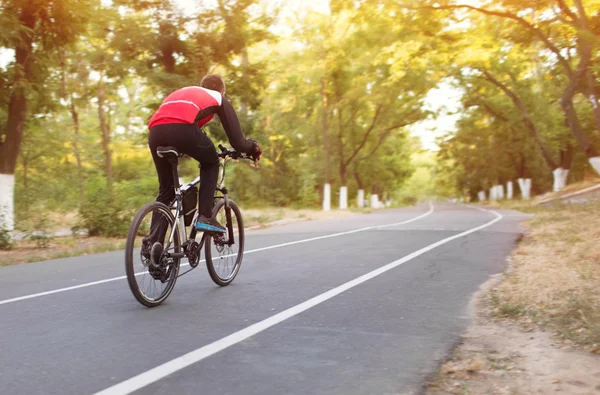 Cyclist — Stock Photo, Image