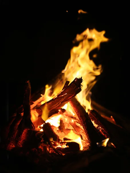 Lagerfeuer brennt in der Nacht — Stockfoto