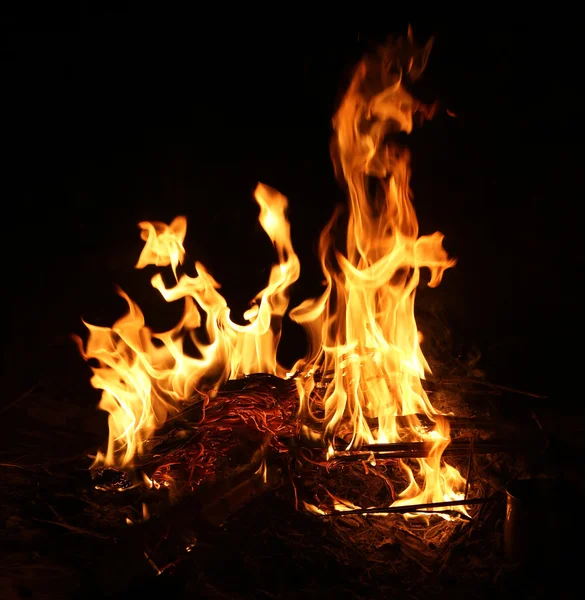 Lagerfeuer brennt in der Nacht — Stockfoto