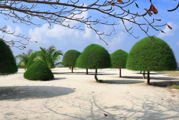 Architektura krajobrazu. Malibu piasek plaży na wyspie Koh Phangan w Tajlandii — Zdjęcie stockowe