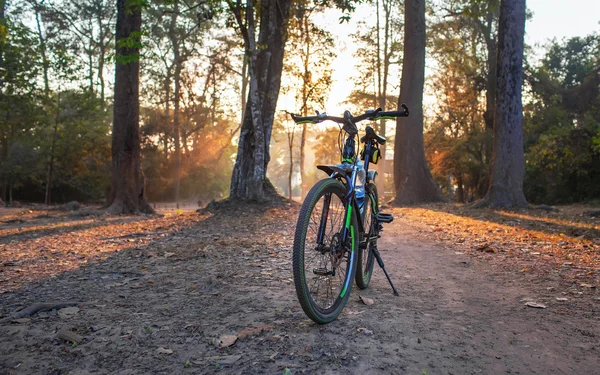 Mountainbike. Foto fiets in het bos staan op de footboar — Stockfoto