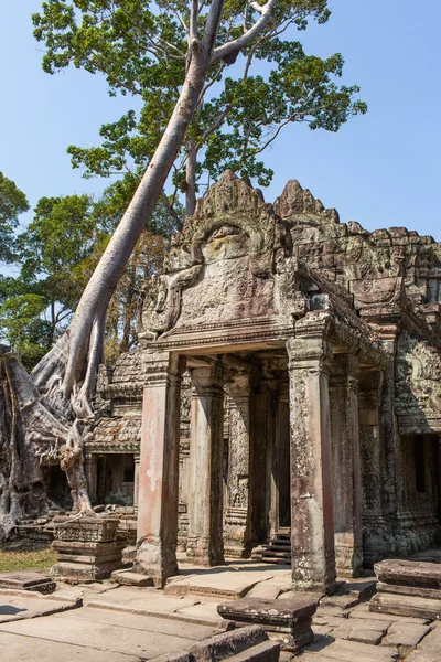 Övergivna templet i Angkor Wat, Kambodja — Stockfoto