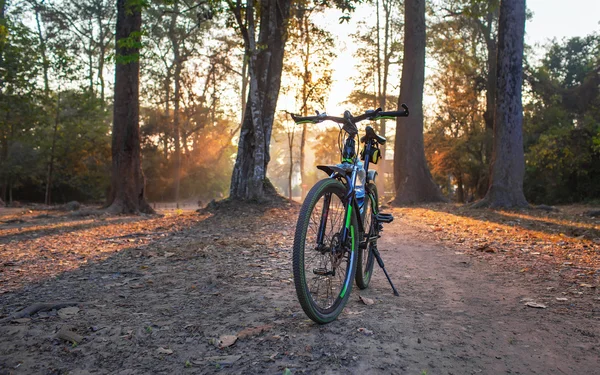 Rower górski. Zdjęcie roweru w lesie stoi na footboar — Zdjęcie stockowe