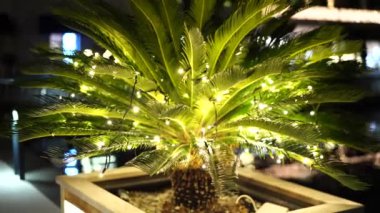 Çelenklerle süslenmiş bir tencerede dekoratif palmiye ağacı. Geceleri Noel tatili için sokak dekorasyonu.