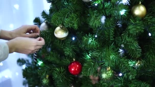 Flickan dekorerar julgranen med en leksak i form av en godis käpp. — Stockvideo