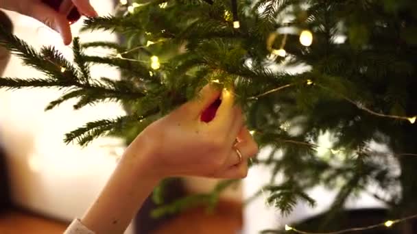 Kvinna händer närbild dekorera julgran. — Stockvideo