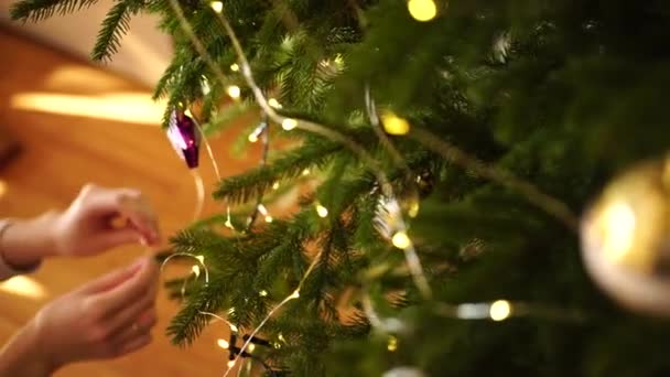 Femmes mains gros plan décorer le sapin de Noël. — Video