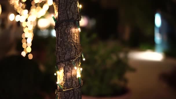 W tym świąteczna girlanda na pniu na zewnątrz. Noworoczne oświetlenie uliczne w parku. Światła świąteczne. Małe żarówki zamknąć z Bokeh w tle. — Wideo stockowe