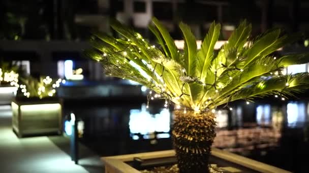 Palmera decorativa en maceta, decorada con guirnaldas. Calle decoración de la ciudad para las vacaciones de Navidad por la noche. — Vídeo de stock